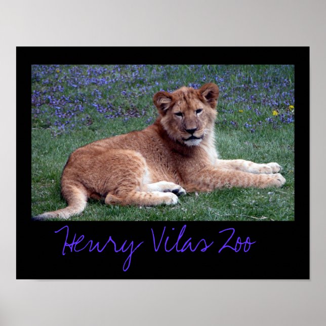 Póster Vilas Zoo Cub (Frente)