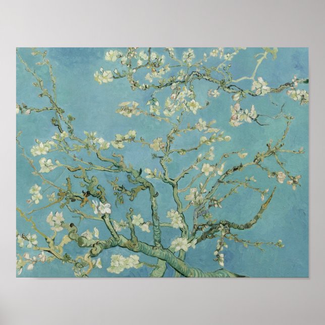 Poster Vincent van Gogh - Almond Blossom (Frente)