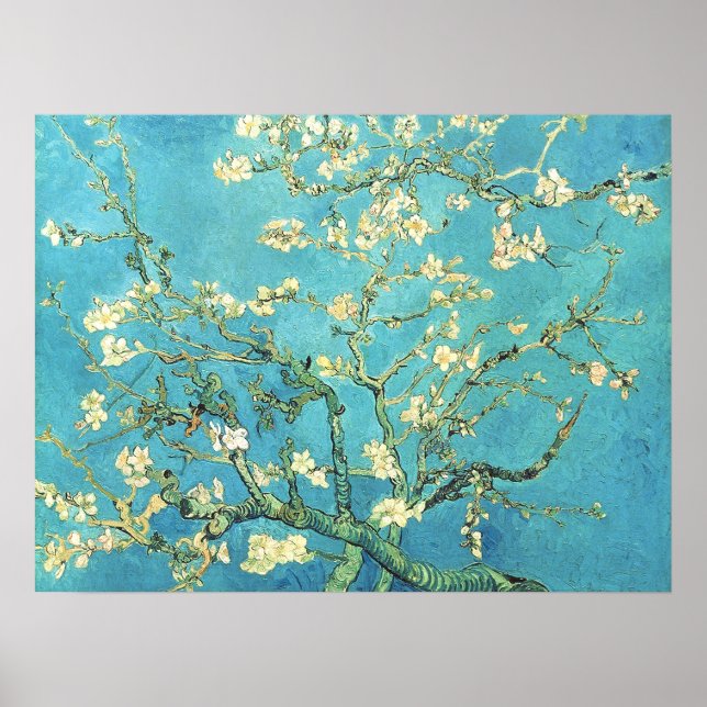 Poster Vincent van Gogh Amendoeira em Flor (Frente)