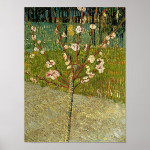 Poster Vincent van Gogh - Amendoeira em flor