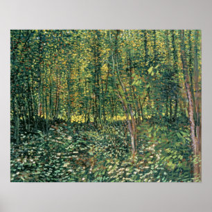 Poster Vincent van Gogh Árvores e Subcrescimento, 1887