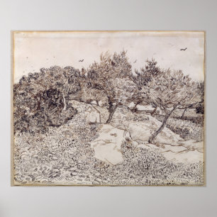 Poster Vincent van Gogh   as oliveiras