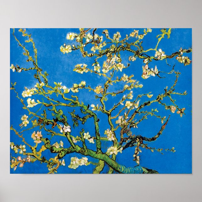 Poster Vincent Van Gogh - Blossoming Almond Tree Fine Art (Frente)