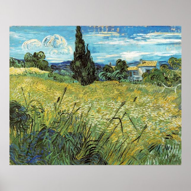 Poster Vincent van Gogh, Campo de Trigo Verde (Frente)