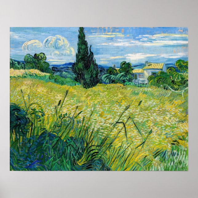 Poster Vincent van Gogh - Campo de Trigo Verde com Cypres (Frente)
