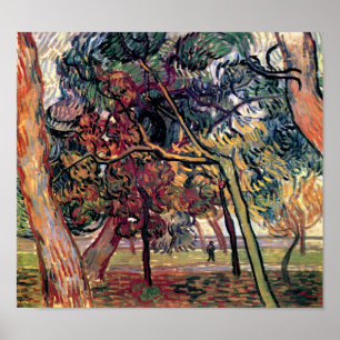 Póster Vincent Van Gogh - Estudo de Pinheiros Arte Fina
