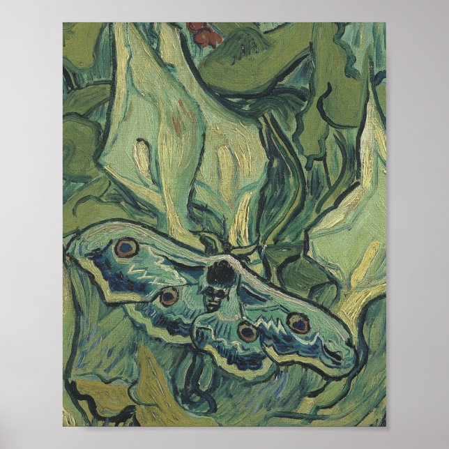Poster Vincent Van Gogh - Excelente Peacock Moth (Frente)