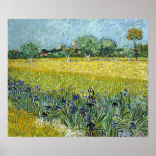 Poster Vincent van Gogh Field of Flowers perto de Arles