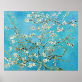 Poster Vincent van Gogh - Flor de Amendoeira