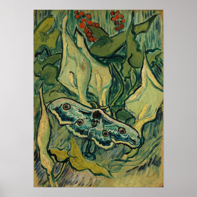 Poster Vincent van Gogh - Giant Peacock Moth (Frente)