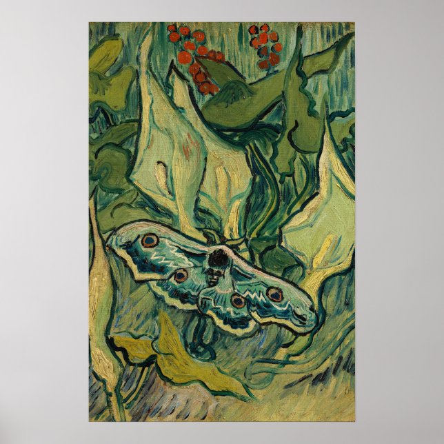 Poster Vincent van Gogh - Grande Mariposa Pavão (Frente)