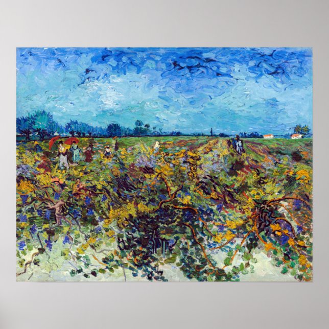 Poster Vincent van Gogh - Green Vineyard (Frente)