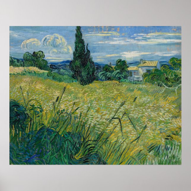 Poster Vincent van Gogh Green Wheat Field com Cypress (Frente)