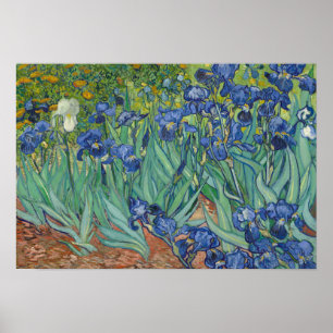 Póster Vincent van Gogh - íris