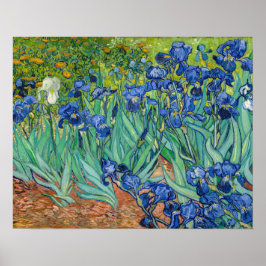 Poster Vincent Van Gogh - Íris