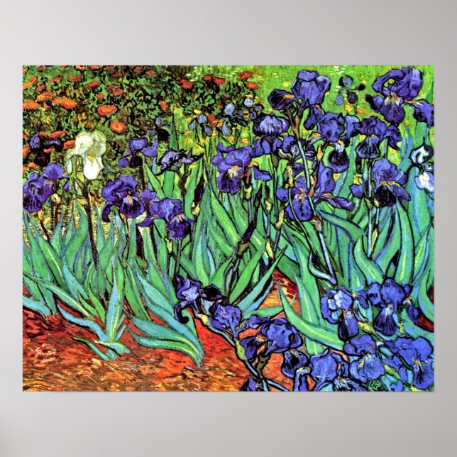 Poster Vincent Van Gogh - Íris - Amante de Flores Arte Fi (Frente)