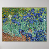 Vincent Van Gogh Irises
