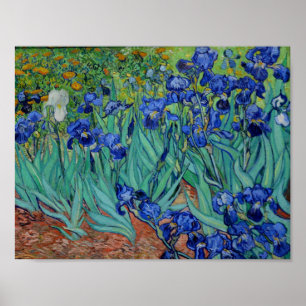 Poster Vincent Van Gogh Irrisa Flower-Art Vibrante