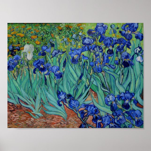 Poster Vincent Van Gogh Irrisa Flower-Art Vibrante (Frente)