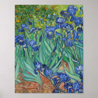 Poster Vincent Van Gogh - Irrises