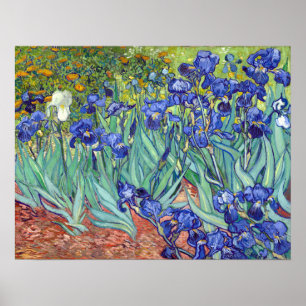 Poster Vincent van Gogh Irrises