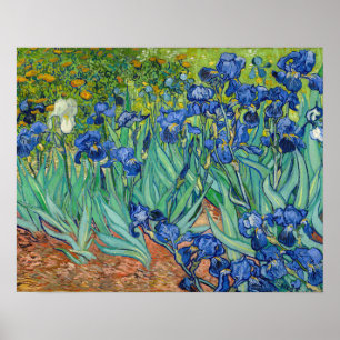 Poster Vincent Van Gogh - Irrises