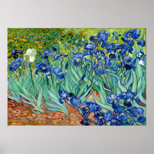 Poster Vincent van Gogh - Irrises - Famosa Arte