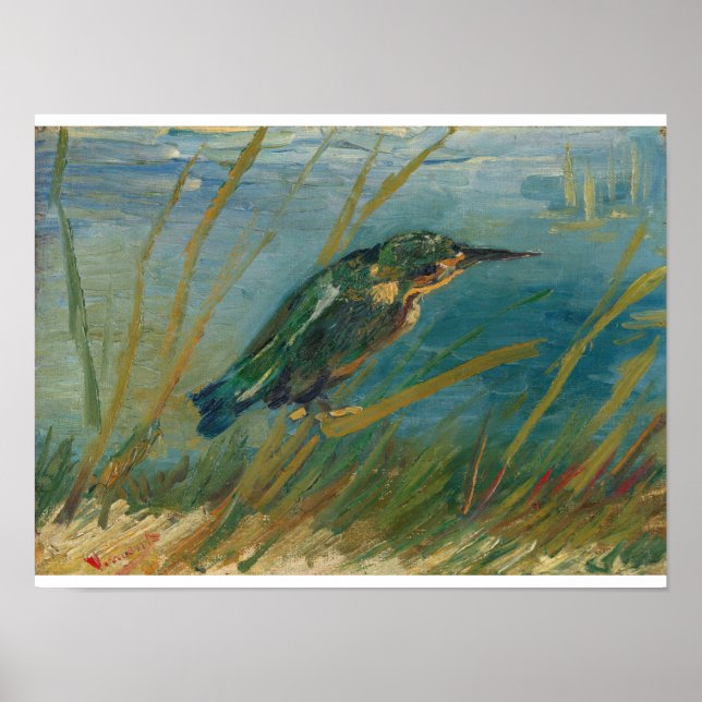 Poster Vincent Van Gogh - Kingfisher pela margem d'água (Frente)