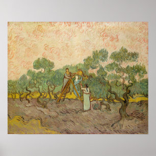 Poster Vincent van Gogh - Mulheres Colhendo Azeitonas