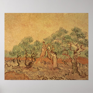 Póster Vincent van Gogh O olival, 1889