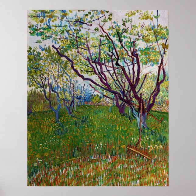 Poster Vincent van Gogh - O Pomar em Flor (Frente)