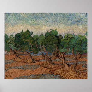 Poster Vincent van Gogh - Olival