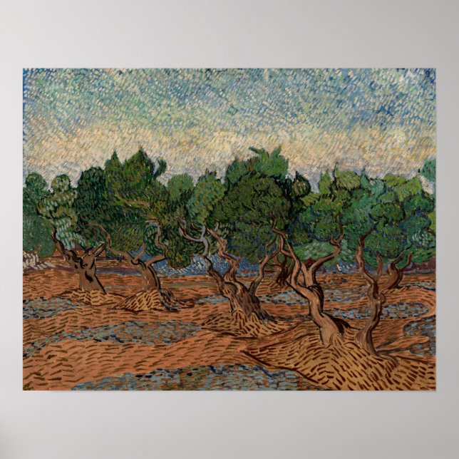 Poster Vincent van Gogh - Olive Grove (Frente)