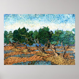 Poster Vincent van Gogh - Olive Grove