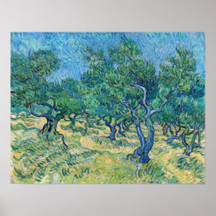 Poster Vincent van Gogh - Olive Grove