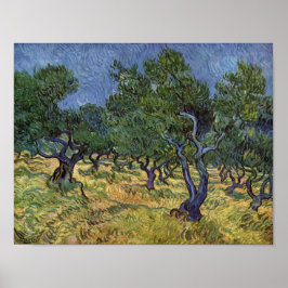 Poster Vincent van Gogh - Olive Grove