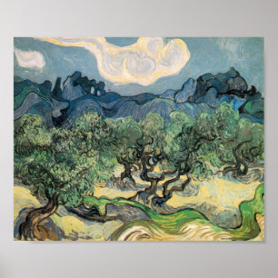 Poster Vincent van Gogh Olive Trees com os Alpilles