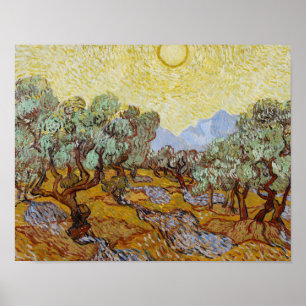 Poster Vincent van Gogh - Oliveiras