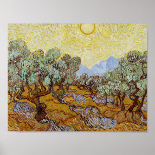 Póster Vincent van Gogh - oliveiras