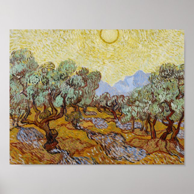 Póster Vincent van Gogh - Oliveiras (Frente)