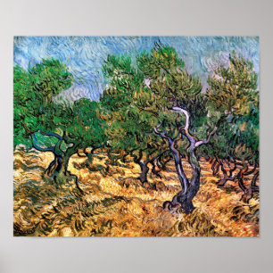 Póster Vincent Van Gogh - Oliveiras Arte Fina
