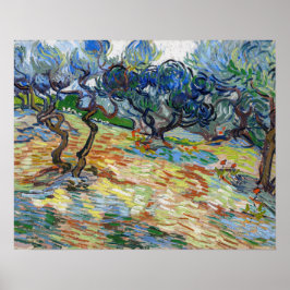 Poster Vincent van Gogh - Oliveiras: Céu azul brilhante