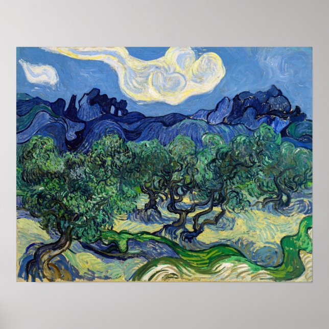Poster Vincent van Gogh - Oliveiras com os Alpilles (Frente)