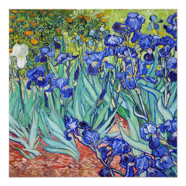 Póster Vincent Van Gogh painting Irises (Frente)