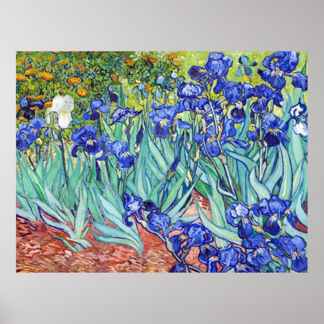 Poster Vincent Van Gogh painting Irises (Frente)