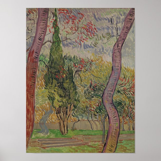 Póster Vincent van Gogh | Parque do Santo-Paul (Frente)