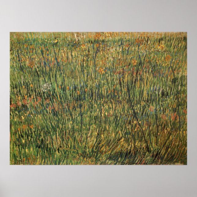 Poster Vincent van Gogh - Pastagem em Bloom (Frente)