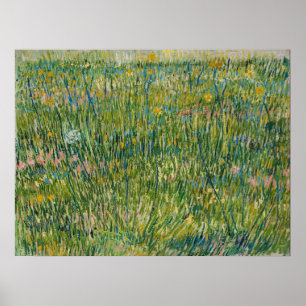 Póster Vincent van Gogh - Patch de grama