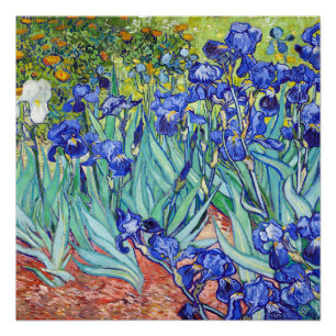 Póster Vincent Van Gogh pintando Íris