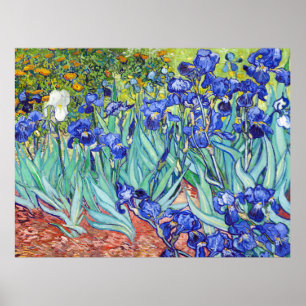 Poster Vincent Van Gogh pintando Íris